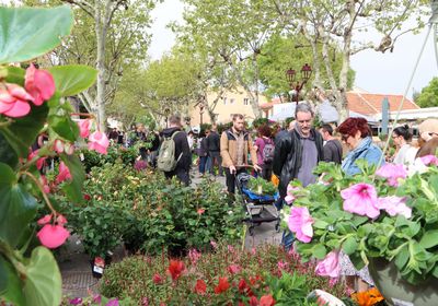 Fête des Plantes et des Fleurs 2024