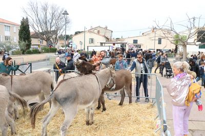 Agrandir l'image, .JPG 3,1 Mo (fenêtre modale)