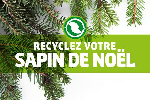 Rejoignez le mouvement et recyclez votre sapin de Noël