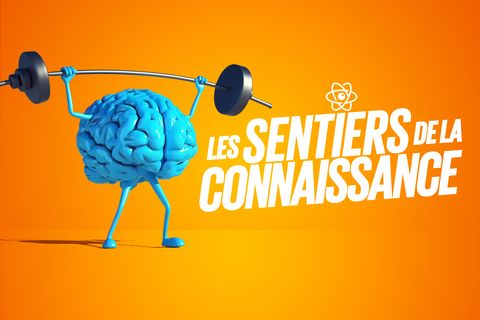 Les Sentiers de la Connaissance - Programme 2023-2024