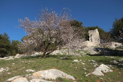vue champêtre avec un moulin - Agrandir l'image, .JPG 642,3 KB (fenêtre modale)