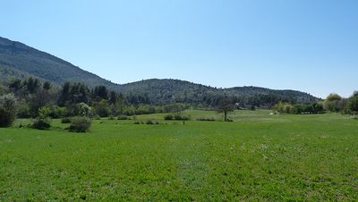 vue d'un pré avec colline en arrière plan - Agrandir l'image, .JPG 157,9 KB (fenêtre modale)