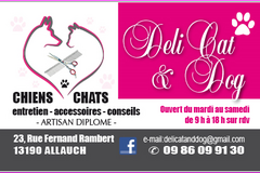 DeliCat & Dog