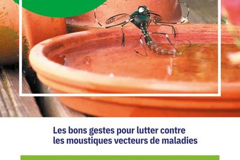 Prévenir la prolifération des moustiques tigre