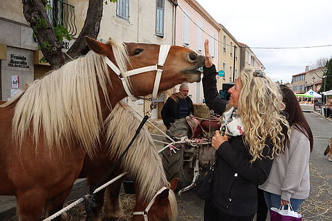 Retour en images sur une "Foire aux bestiaux" pluvieuse ce dimanche au Logis-Neuf