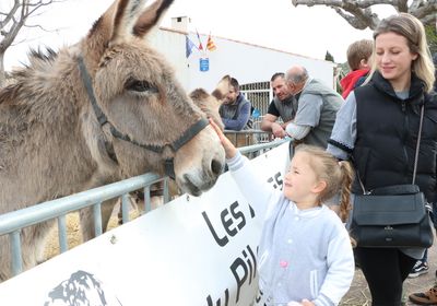 Foire aux Bestiaux 2023