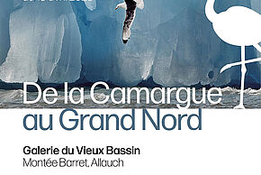 Exposition « De la Camargue au Grand Nord » par le photographe Thierry Vezon