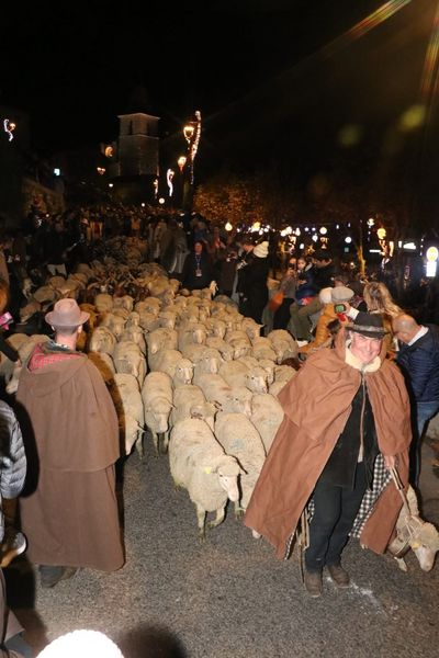 Agrandir l'image, .JPEG 167,3 KB (fenêtre modale)