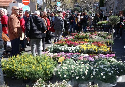 Fête des Plantes et des Fleurs 2023