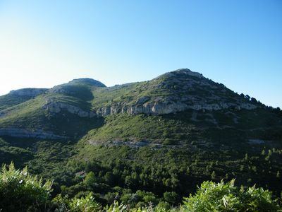 vue d'une colline très arborée - Agrandir l'image, .JPG 2,6 MB (fenêtre modale)