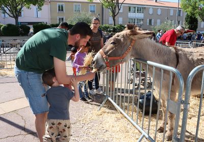 Foire aux Bestiaux et Artisanale 2024