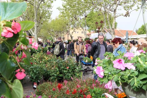 Fête des plantes et des fleurs : le village s’est habillé de mille couleurs printanières !