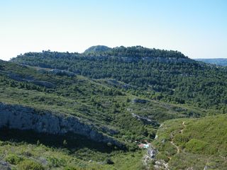 vue d'une colline arborée