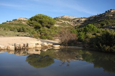 Domaine de Pichauris - Agrandir l'image, .JPG 2,3 Mo (fenêtre modale)