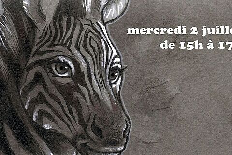 Atelier dessin sur le thème des animaux avec l'auteur et dessinateur de BD Bruno Bessadi