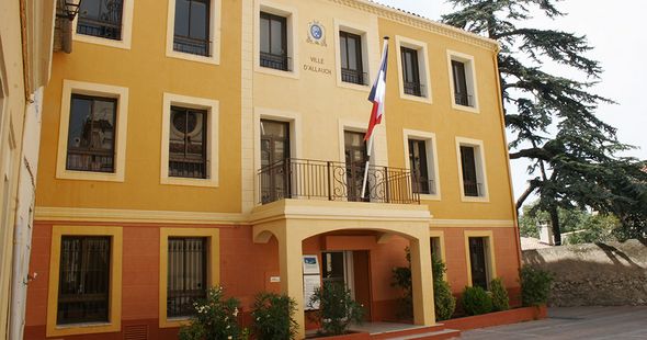 Service Élections 