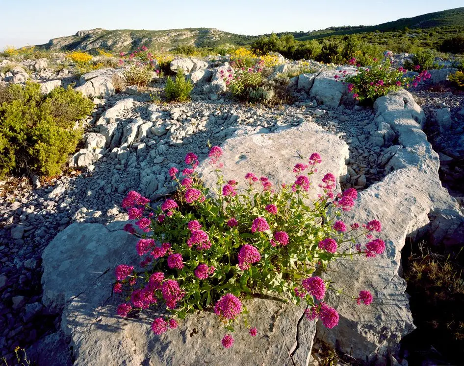 Les collines d'Allauch