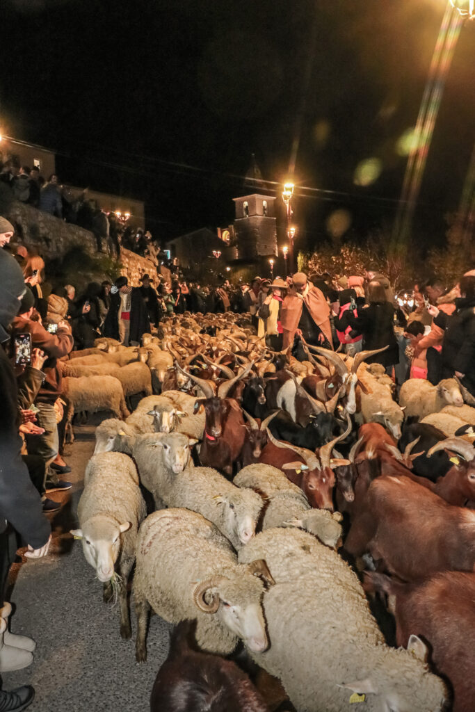 La Descente des Bergers
