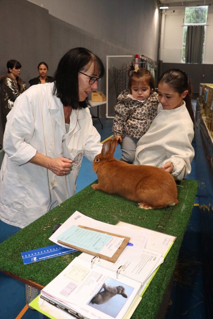 Salon Avicole d’Allauch :  les éleveurs français mis à l’honneur