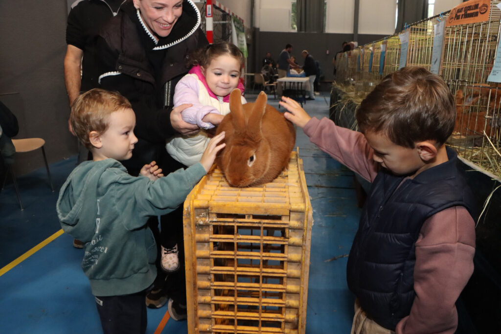 le gymnase Jacques Gaillard de Pié d’Autry a accueilli la 3ᵉ édition du Salon avicole d’Allauch le 1 et 2 novembre 2025