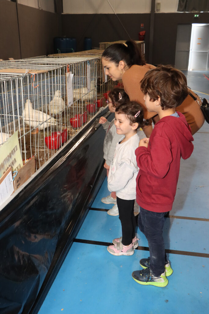 le gymnase Jacques Gaillard de Pié d’Autry a accueilli la 3ᵉ édition du Salon avicole d’Allauch le 1 et 2 novembre 2025