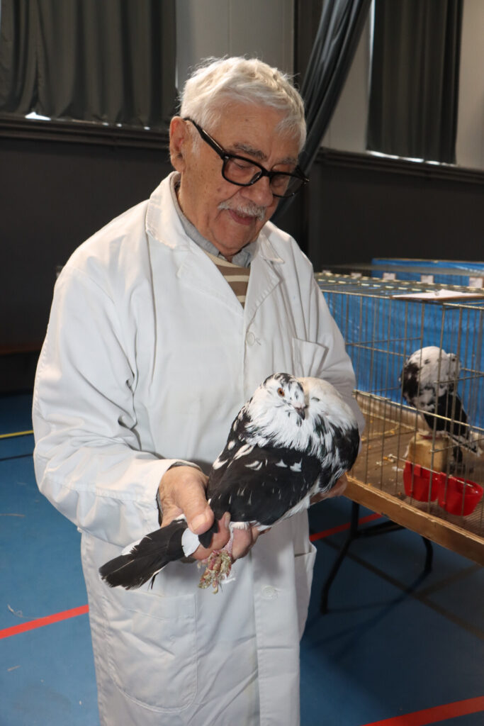 le gymnase Jacques Gaillard de Pié d’Autry a accueilli la 3ᵉ édition du Salon avicole d’Allauch le 1 et 2 novembre 2025