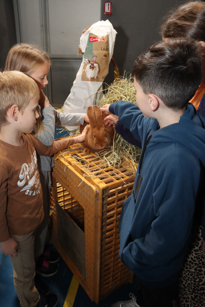 le gymnase Jacques Gaillard de Pié d’Autry a accueilli la 3ᵉ édition du Salon avicole d’Allauch le 1 et 2 novembre 2025