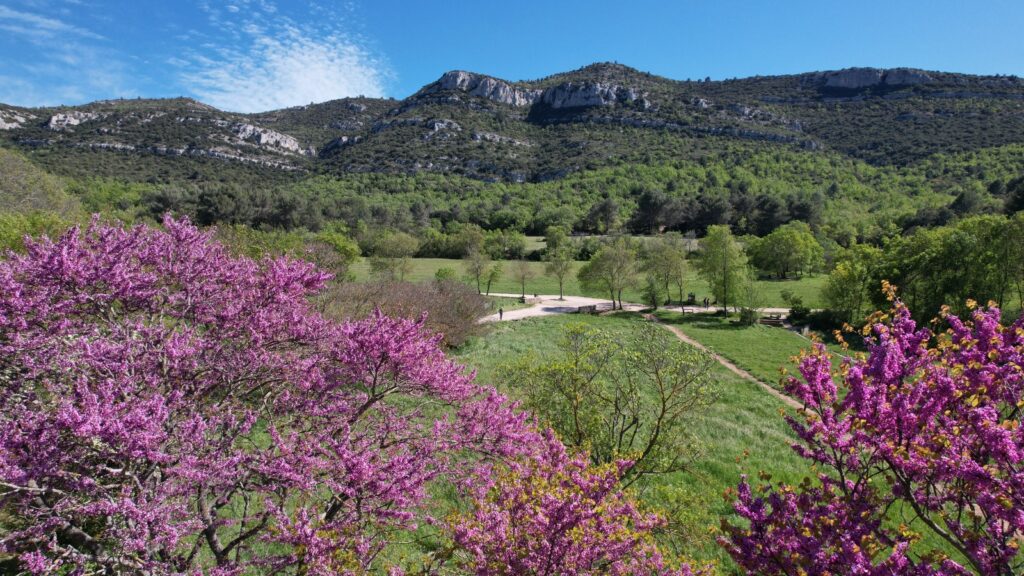 Opération « Collines propres » : 30 tonnes de déchets retirés sur les hauteurs d’Allauch