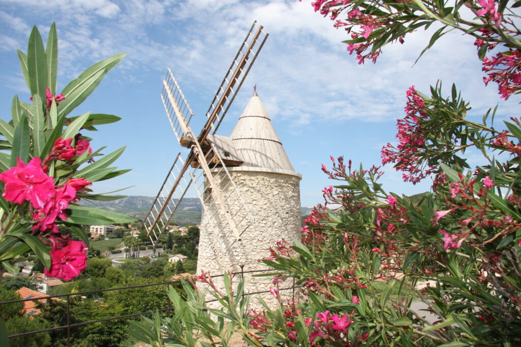 moulin louis ricard derrière des lauriers dans le cadre du label "villes et villages fleuris"