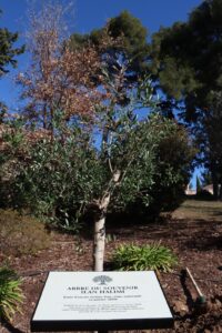 Allauch a procédé à la plantation de l’arbre du souvenir « Ilan Halimi » pour le 20ème anniversaire de sa disparition