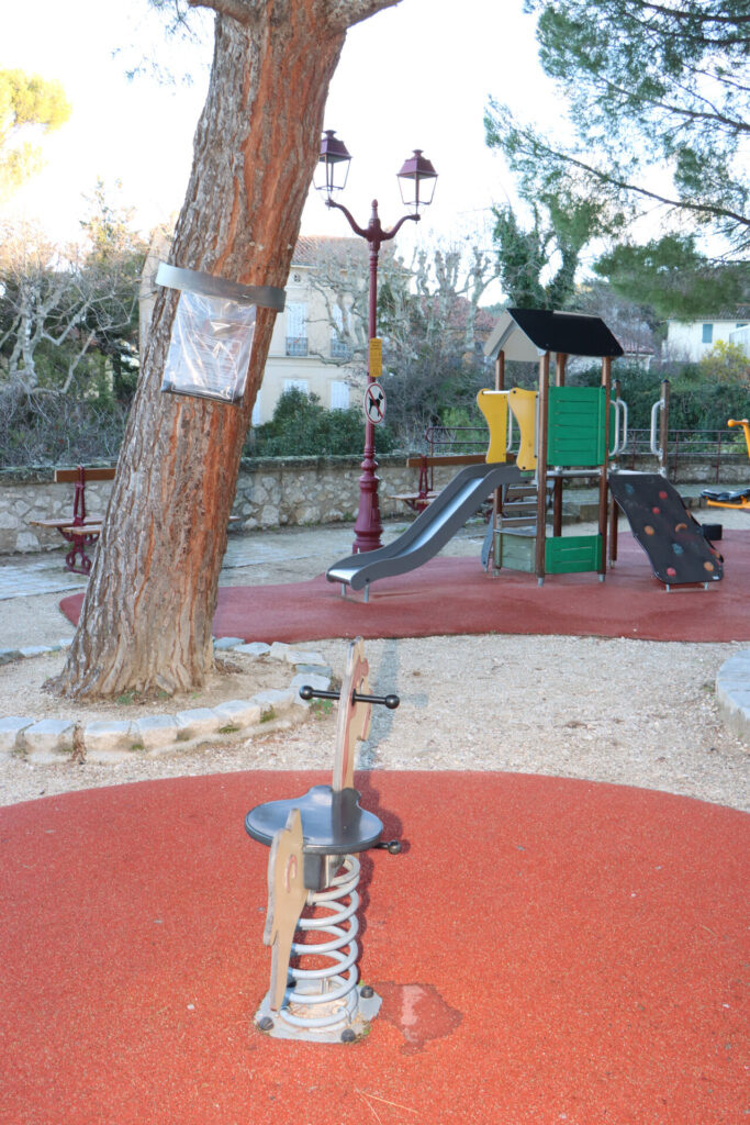 Attention aux chenilles processionnaires : des mesures mises en œuvre à Allauch pour protéger notamment les enfants mais aussi nos animaux de compagnie