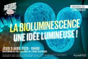 Dernier rendez-vous de la saison des Sentiers de la connaissance : conférence « La bioluminescence, une idée lumineuse ? », le jeudi 9 avril, 19h (Auditorium de l’Usine Électrique)