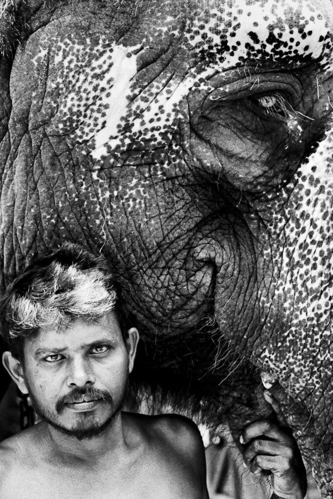 l’association Photographies et Créativités d’Allauch (PHOCAL) sacré meilleur club régional de la Fédération photographique de France en photographie “Nature papier” 2026