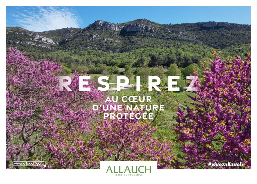 La Ville d’Allauch lance sa nouvelle campagne de promotion touristique pour faire rayonner l’authenticité provençale de notre territoire. Une campagne gratuite qui invite à découvrir ou redécouvrir un village où traditions, patrimoine et nature se vivent pleinement.